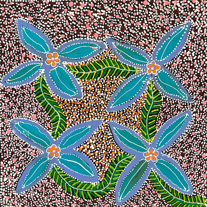 SP11526-Katie Kemarre