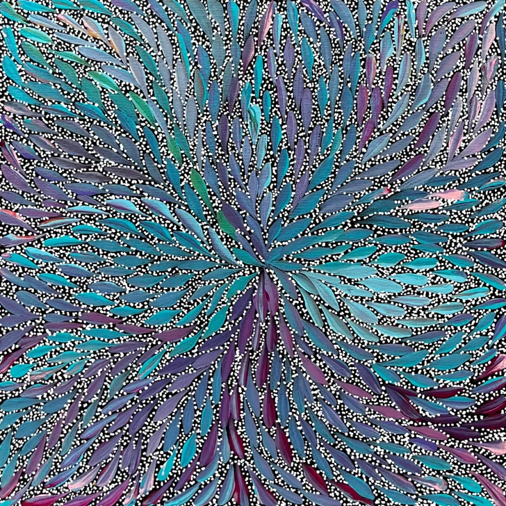 SP11544-Rosabella Long Petyarre