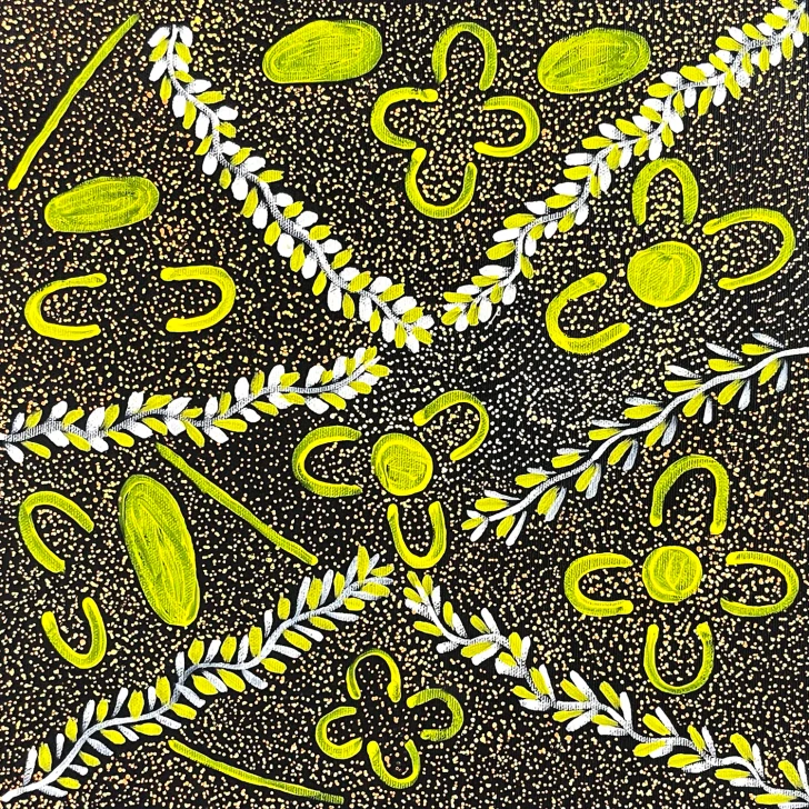 SP11566-Colleen Morton Kngwarreye