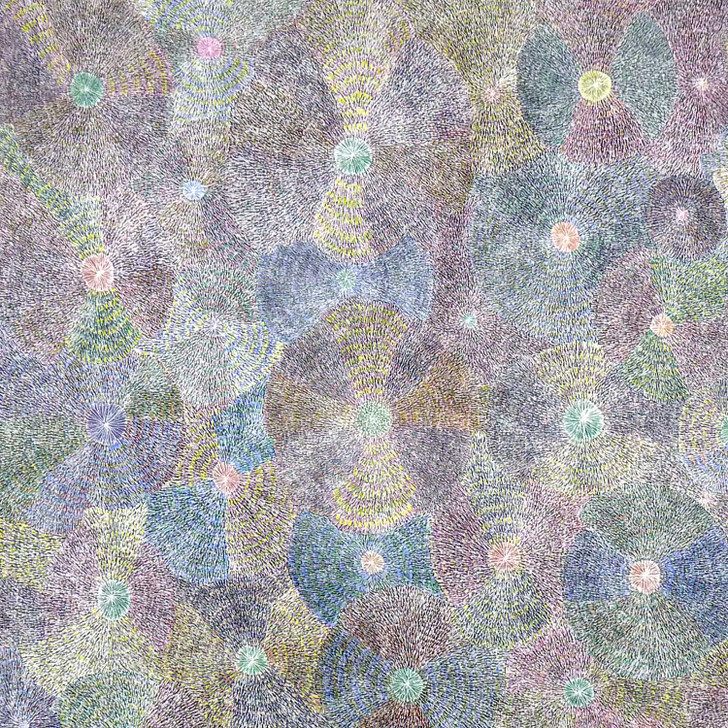 MB050878-Sarah Morton Kngwarreye