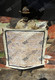 Greeny Purvis Petyarre - MB014574