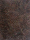 Nancy Kunoth Petyarre - MB017960