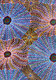 Lily Lion Kngwarreye - MB060136