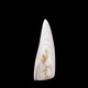 Zebra Stone - ZS0037