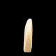 Zebra Stone - ZS0045