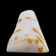 Zebra Stone - ZS0052
