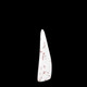 Zebra Stone - ZS0055