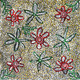 Lucky Morton Kngwarreye - SP9926