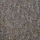 Abie Loy Kemarre - MB061896