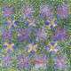 Audrey Morton Kngwarreye - SP10729