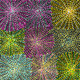Ruby Morton Kngwarreye - SP10735