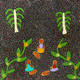 Thelma Dixon Kemarre - SP10780