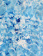 Kate Petyarre (Pitjara) - MB062365