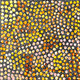 Eileen Bird Kngwarreye - SP11005