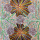 Katie Kemarre - SP11026