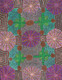 Michelle Lion Kngwarreye - MB062592