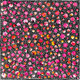 SP11198-Eileen Bird Kngwarreye