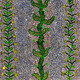 Michelle Lion Kngwarreye - SP11162