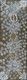 June Bird Ngale - MB062658