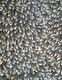 Abie Loy Kemarre - MB062700