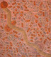 Teresa Purla - MB062878