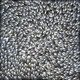 Abie Loy Kemarre - MB062894