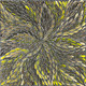 Rosabella Long Petyarre - sp11401