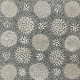 Lily Lion Kngwarreye - SP11499