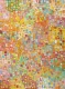 Joycie Morton Petyarre - MB063256