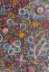 Belinda Golder Kngwarreye - MB063332