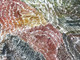Janelle Stockman Napaltjarri - MB035387