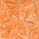 Janelle Stockman Napaltjarri - MB036750
