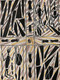 Russell Ashley - MB037078