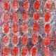 Janelle Stockman Napaltjarri - MB037134