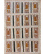 Dorothy Djukulul - MB037302