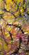 Janelle Stockman Napaltjarri - MB037381