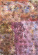 Janelle Stockman Napaltjarri - MB039956