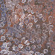 Emily Kame Kngwarreye - MB001909