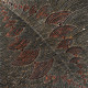 Nancy Kunoth Petyarre - MB010462