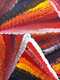 Janelle Stockman Napaltjarri - MB024601