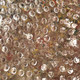 Emily Kame Kngwarreye - MB007744