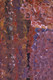 Emily Kame Kngwarreye - MB007807