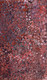 Emily Kame Kngwarreye - MB009065