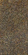 Kathleen Petyarre - MB009739