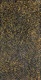 Kathleen Petyarre - MB009740