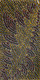Nancy Kunoth Petyarre - MB009790