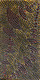 Nancy Kunoth Petyarre - MB009792