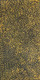Kathleen Petyarre - MB009842