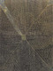 Kathleen Petyarre - MB009923