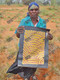 Nancy Kunoth Petyarre - MB010041